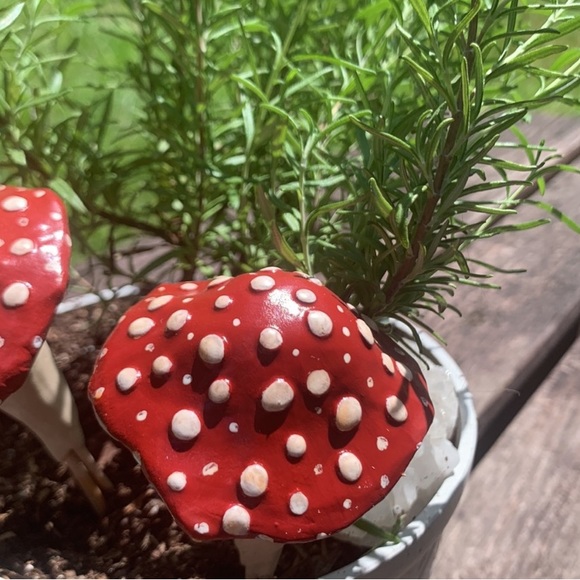 MUSHROOM ๐ Garden Stakes w/ SPOTS! Set of 3 - Picture 14 of 14